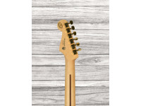 Fender  FSR Player Gold Hardware Pau Ferro FB 3-Tone Sunburst